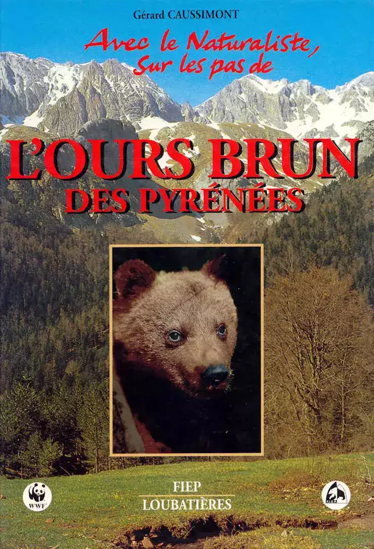 Ours Naturaliste Caussimont