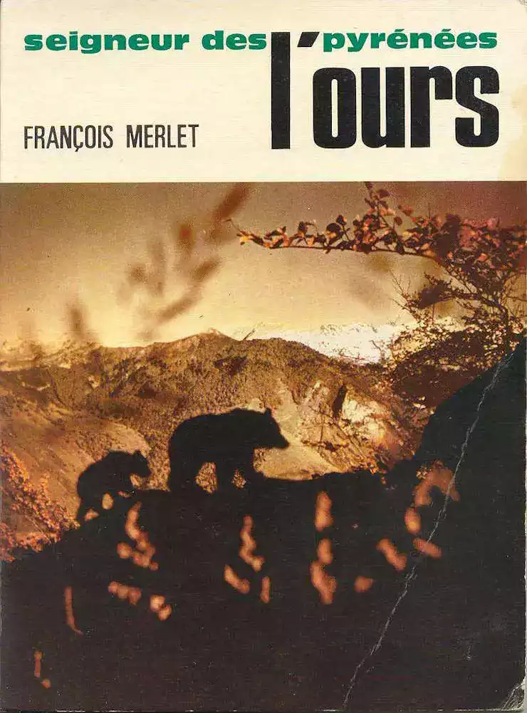 Ours Seigneur des Pyrénées