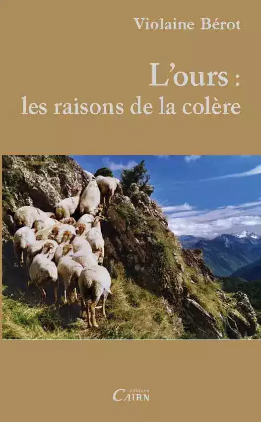 Les raisons de la colère