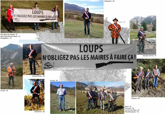 Loup Maires fusils