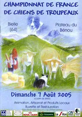 Chien de trupeau championnat de france