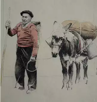 Reintroduction Paysans