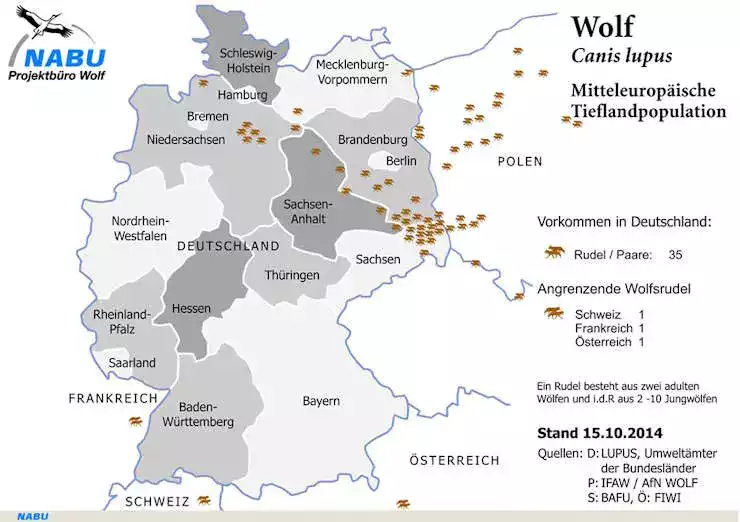 Carte présence loup en Allemagne
