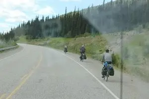 Alaska loup attaque cycliste