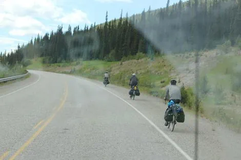 Alaska loup attaque cycliste