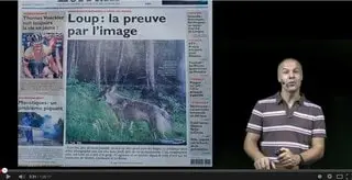 Conséquences retour loup
