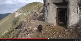 Conséquences retour loup