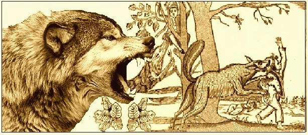 Loup