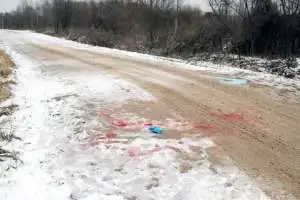 Attaque de Loup en Russie