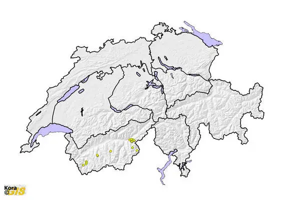 Carte-1995-1999