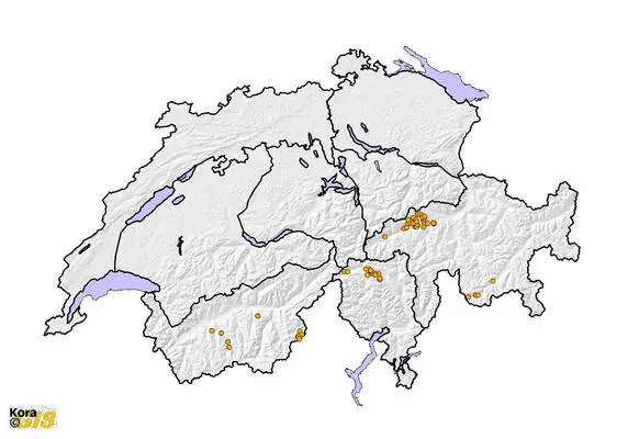 Carte-2000-2004