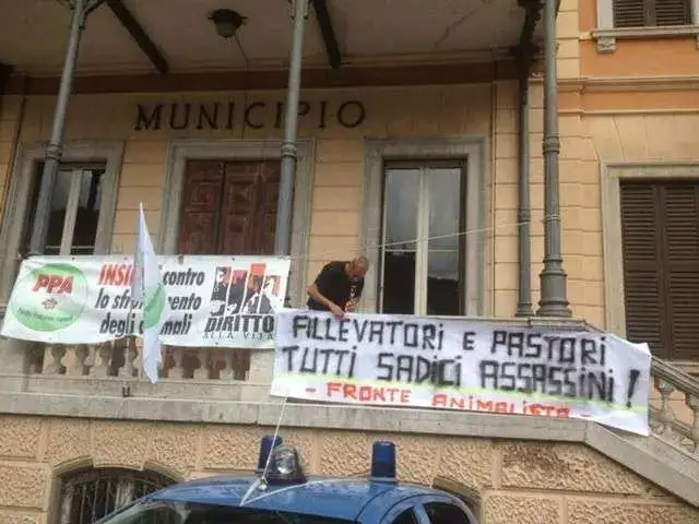 Manifestation