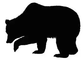 Ours Ombre
