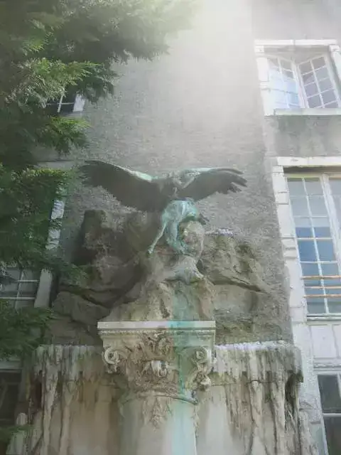Vautour Fontaine Pau