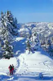 TSL paysage