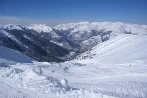 Goulier