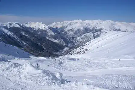 Goulier