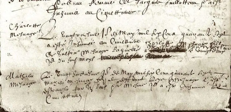 Loups Forêt de Blois