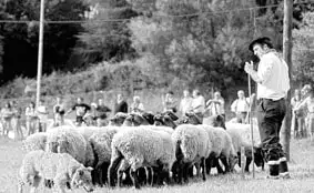 Espagne-CohabitationImpossible