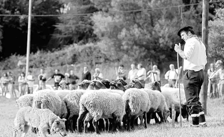 Espagne-CohabitationImpossible