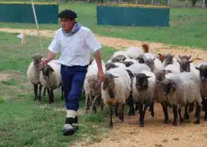 Espagne-CohabitationImpossible