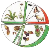 Graphique aliment ous