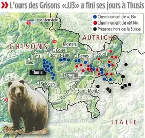 Ours-Suisse-Deplacements-carte