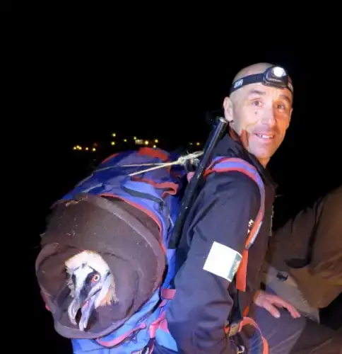 Sauvetage-Gypaete-Didier-Peyrusque